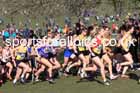 Senior womens 2025 UK CAU Inter Counties Cross Country Champs., Wollaton Park, Nottingham. Photo: David T. Hewitson/Sports for All Pics